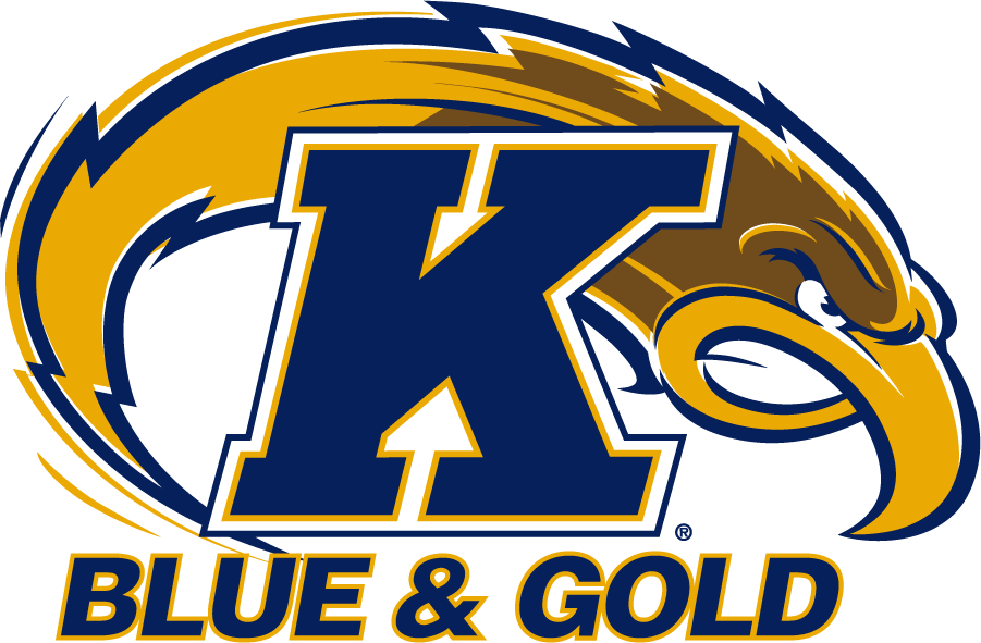 Kent State Golden Flashes 2001-2017 Secondary Logo v2 DIY iron on transfer (heat transfer)